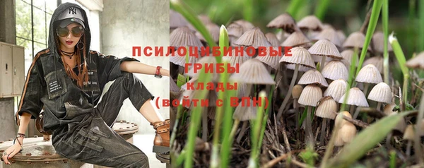 мяу мяу мука Алексин
