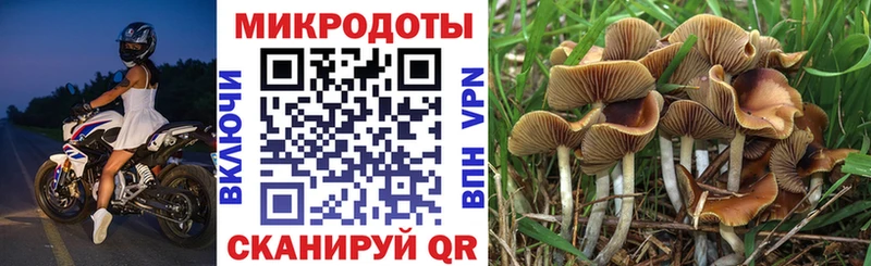 Галлюциногенные грибы GOLDEN TEACHER  Петропавловск-Камчатский 