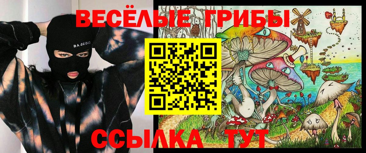 Псилоцибиновые грибы Psilocybine cubensis  Вход с VPN  Петропавловск-Камчатский 